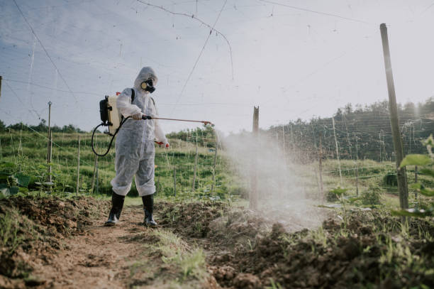 Best Commercial Pest Control Services  in Sanford, CO
