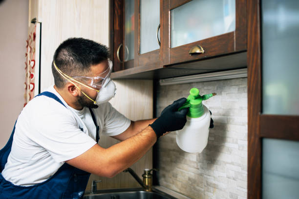 Pest Control Cost in Sanford, CO