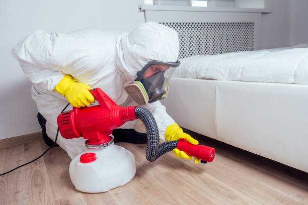 Professional Pest Control in Sanford, CO