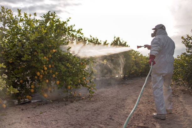 Best Bird Control  in Sanford, CO