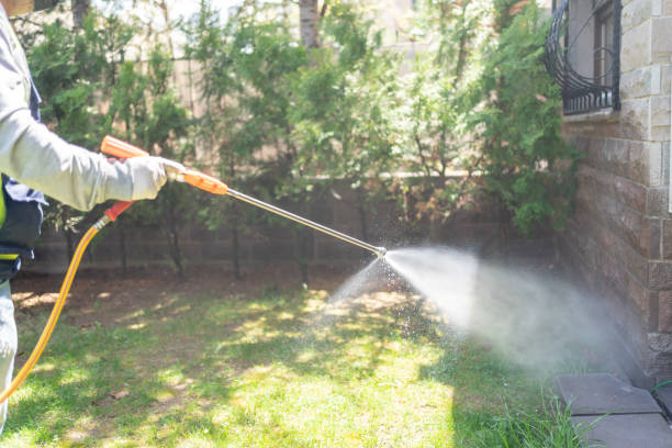 Best Flea Control Services  in Sanford, CO