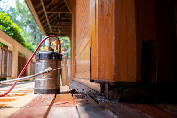 Best Pest Prevention Services  in Sanford, CO