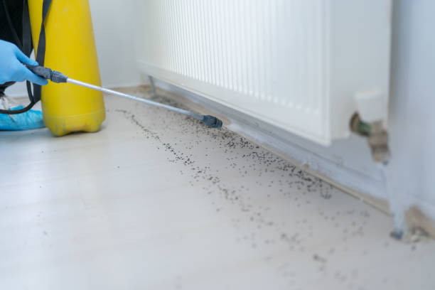 Pest Prevention Services in Sanford, CO