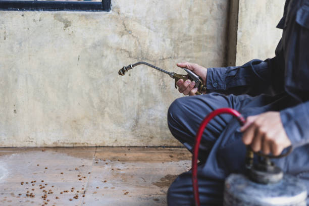 Best Pest Control Near Me in Sanford, CO