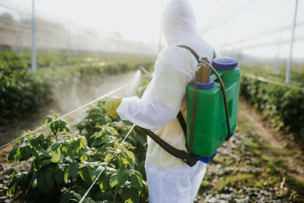 Best Commercial Pest Control Services  in Sanford, CO